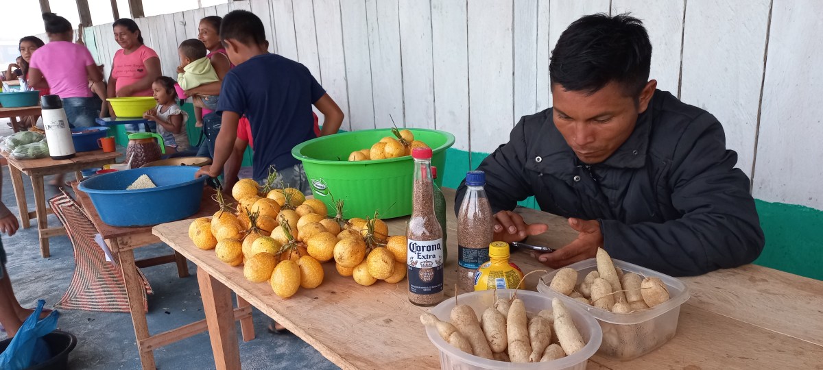 Projeto Kalipana Casa-Território Agrícola: a caminho de reconhecimento federal à agricultura&nbsp;indígena