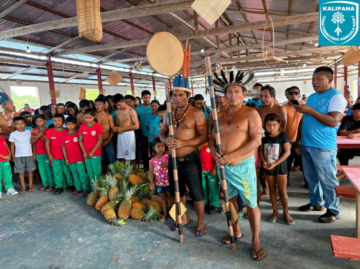 KALIPANA celebra junto com os Povos Baniwa e Koripako Quatro Prêmios de Reconhecimento Nacional em&nbsp;2025